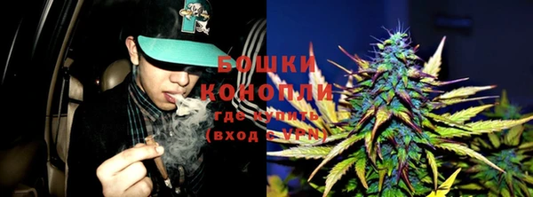 прущие крисы Беслан