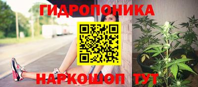 мяу мяу мука Бугуруслан