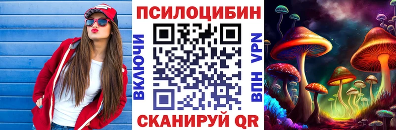 купить наркотики цена  Донецк  Псилоцибиновые грибы мицелий 