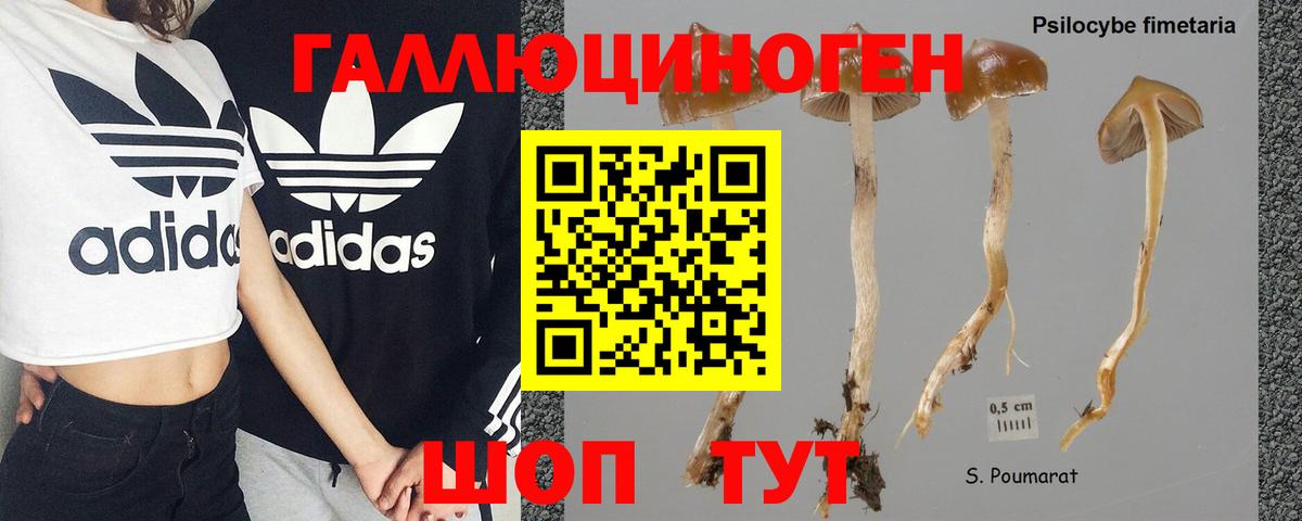 Псилоцибиновые грибы Psilocybe  Донецк 