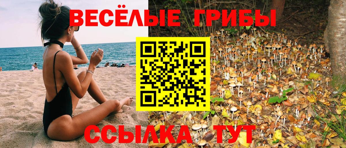 Галлюциногенные грибы ЛСД Донецк