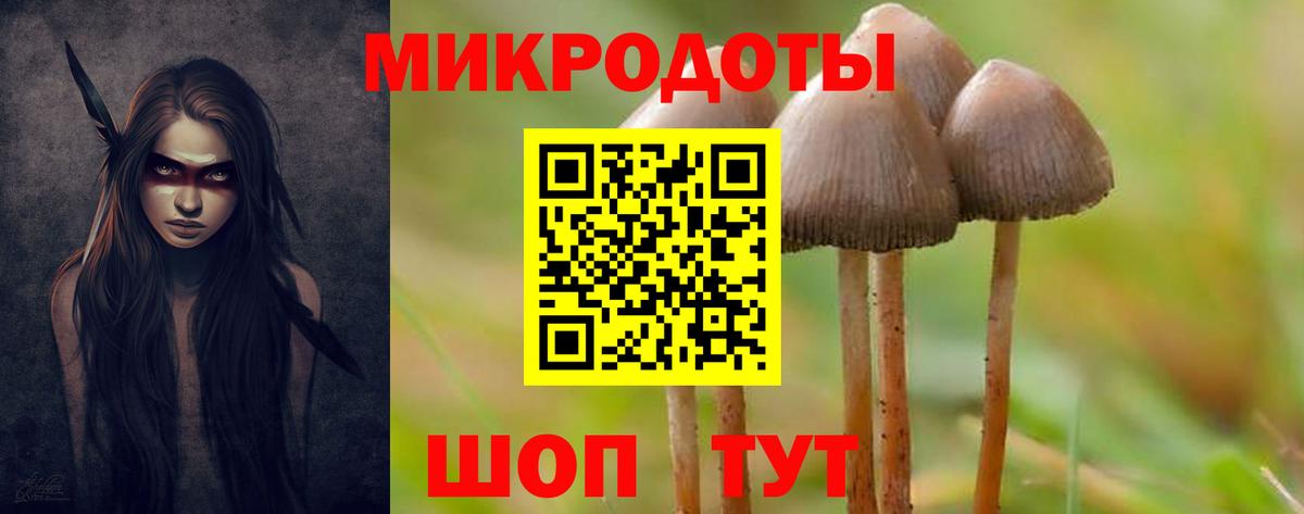 Галлюциногенные грибы Psilocybine cubensis Донецк