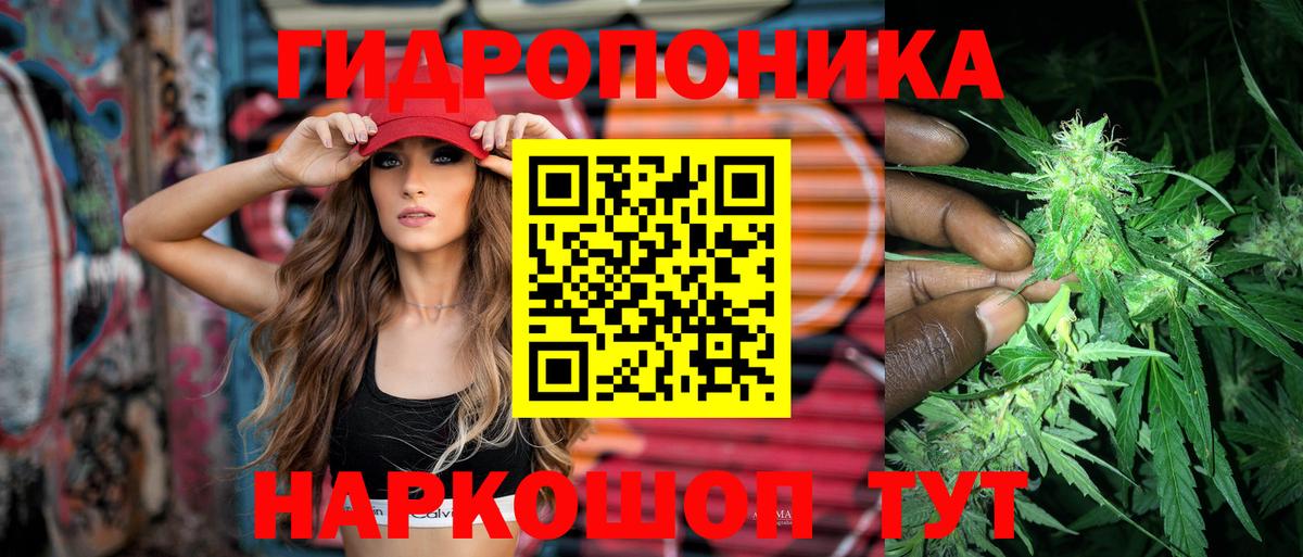 Бошки Шишки VHQ  Донецк  Каннабис планчик 